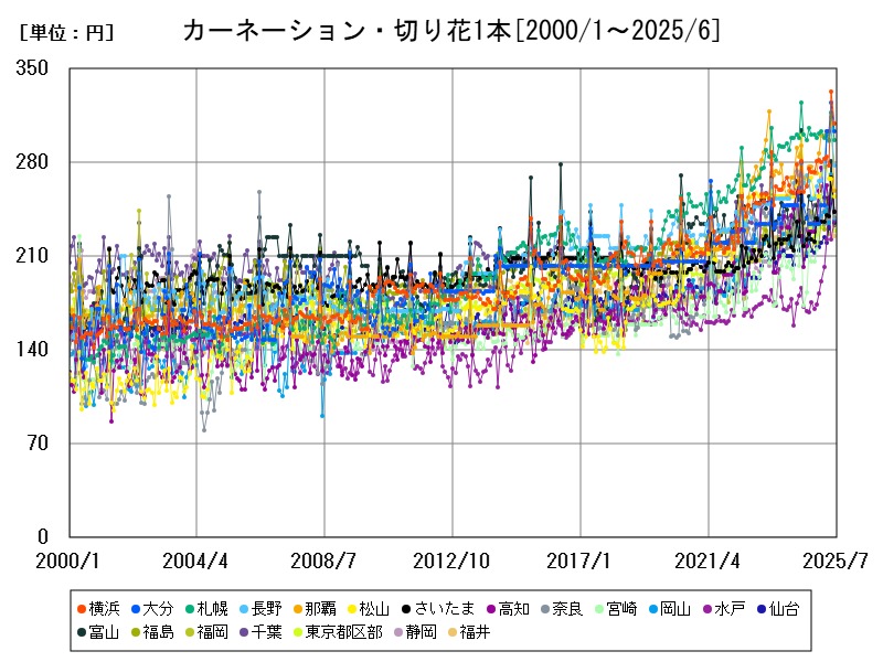 カーネーション・切り花1本