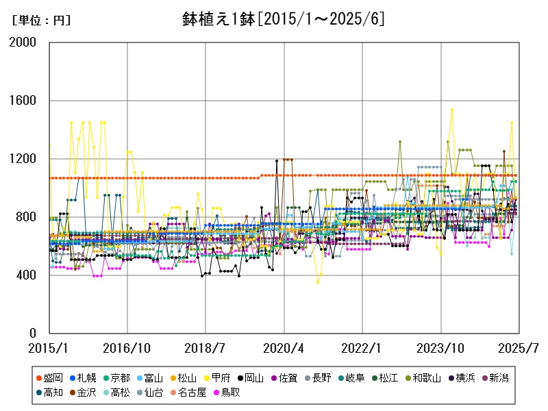 鉢植え1鉢