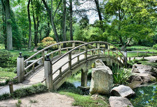 旅費