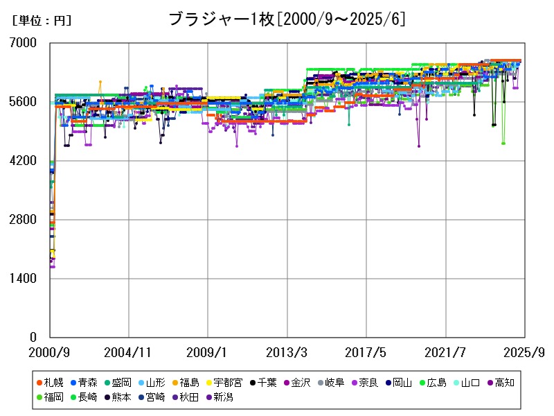 ブラジャー1枚