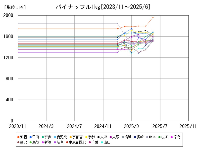 パイナップル1kg